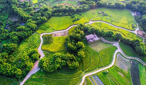 從化農(nóng)耕田緣休閑農(nóng)業(yè)、旅游信息化建設(shè)項(xiàng)目