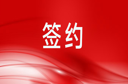5.63億元智算項(xiàng)目服務(wù)合同！助力客戶(hù)構(gòu)建高效智算集群